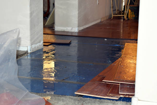 Professional Emergency Water Damage Restoration technician working in Galesville, WI